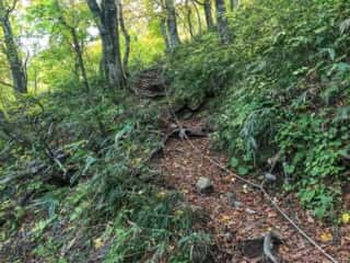 白神岳登山道