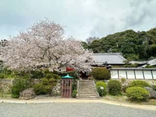 四国八十八ヶ所霊場 第50番札所 繁多寺
