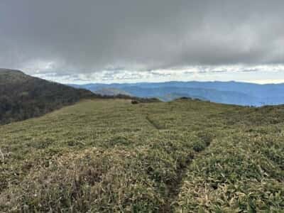 土佐矢筈山・小桧曽山