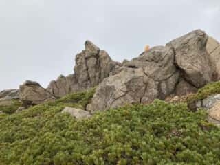 早池峰山 登山道