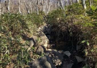 黒檜山登山道