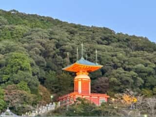 四国八十八ヶ所霊場 第23番札所 薬王寺〜第24番 最御崎寺