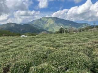 白髪山・平和丸