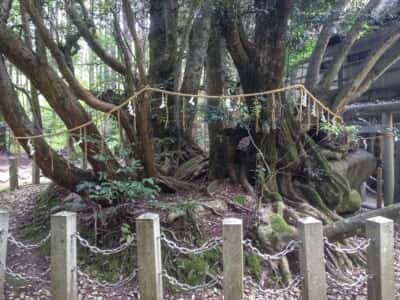 真名井神社