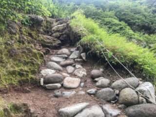 羅臼岳登山道