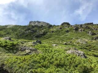 羅臼岳登山道