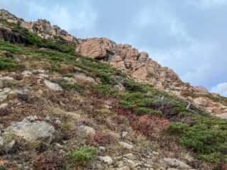 早池峰山 登山道