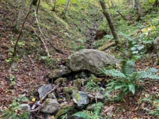 七折の滝 登山道