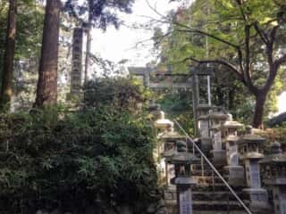 布気皇館太神社 参道の階段 (奈其波志忍山宮比定地)