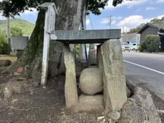 船盡比賣神社