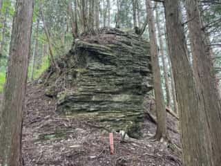 友内山