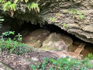 徳之島 銀竜洞