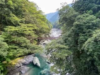 祖谷のかずら橋