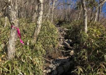 黒檜山 登山道