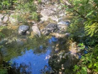 屏風岳・刈田岳 登山道