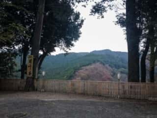 吉水神社 一目千本