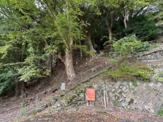 八坂神社