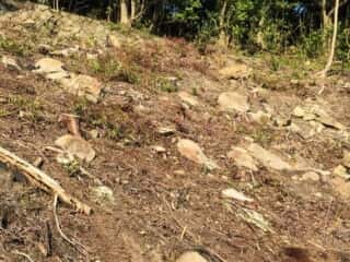 島中心部斜面の岩