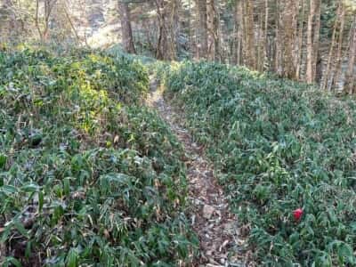 一ノ森・槍戸山