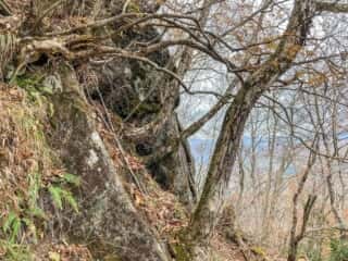 石上登山道