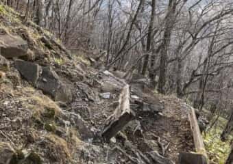 駒ケ岳 登山道