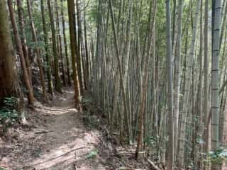 四国八十八ヶ所霊場 第21番札所 太龍寺〜第22番札所 平等寺