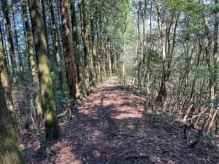 四国八十八ヶ所霊場 第42番札所 仏木寺〜第43番札所 明石寺