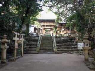 志賀海神社 参道