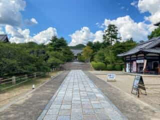 仁和寺　参道