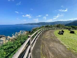 奄美大島 トゥルス岩