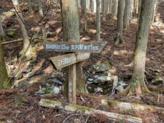 石投山 黒森山 登山道