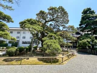 四国八十八ヶ所霊場 第75番札所 善通寺