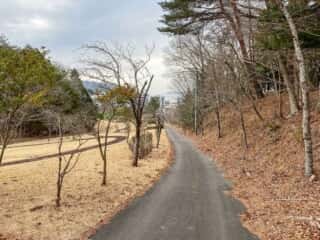 石投山 黒森山 登山道