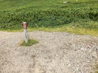 羅臼岳登山道