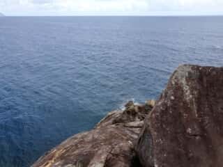 竹ヶ島から海を眺める