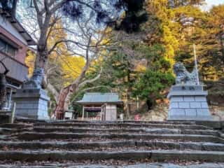 黄金山神社　表山道