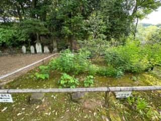 白毫寺