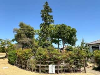 四国八十八ヶ所霊場 第76番札所 金倉寺