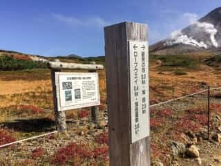 旭岳登山道