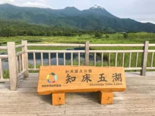 知床五湖 地上遊歩道