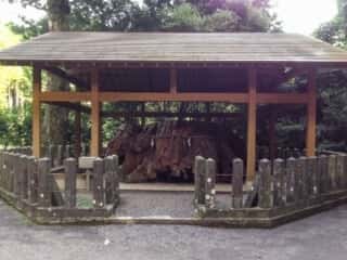 国造神社
