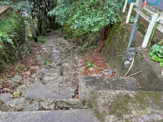 四国八十八ヶ所霊場 第31番札所 竹林寺～第32番札所 禅師峰寺