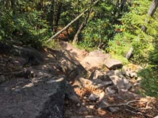 権現岳登山道