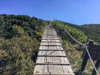 大山登山道
