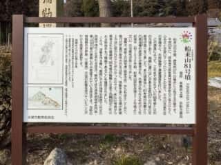 船来山81号墳　 (伊久良河宮比定地)