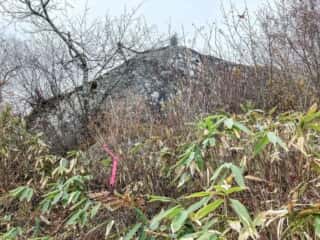 石上登山道