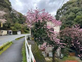 宇和島駅〜四国八十八ヶ所霊場 第41番札所 龍光寺