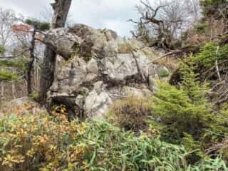中岳登山道