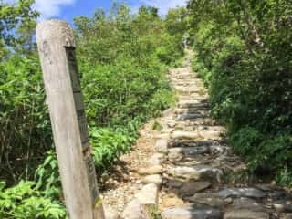 砂防新道 登山道