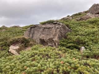 早池峰山 登山道
